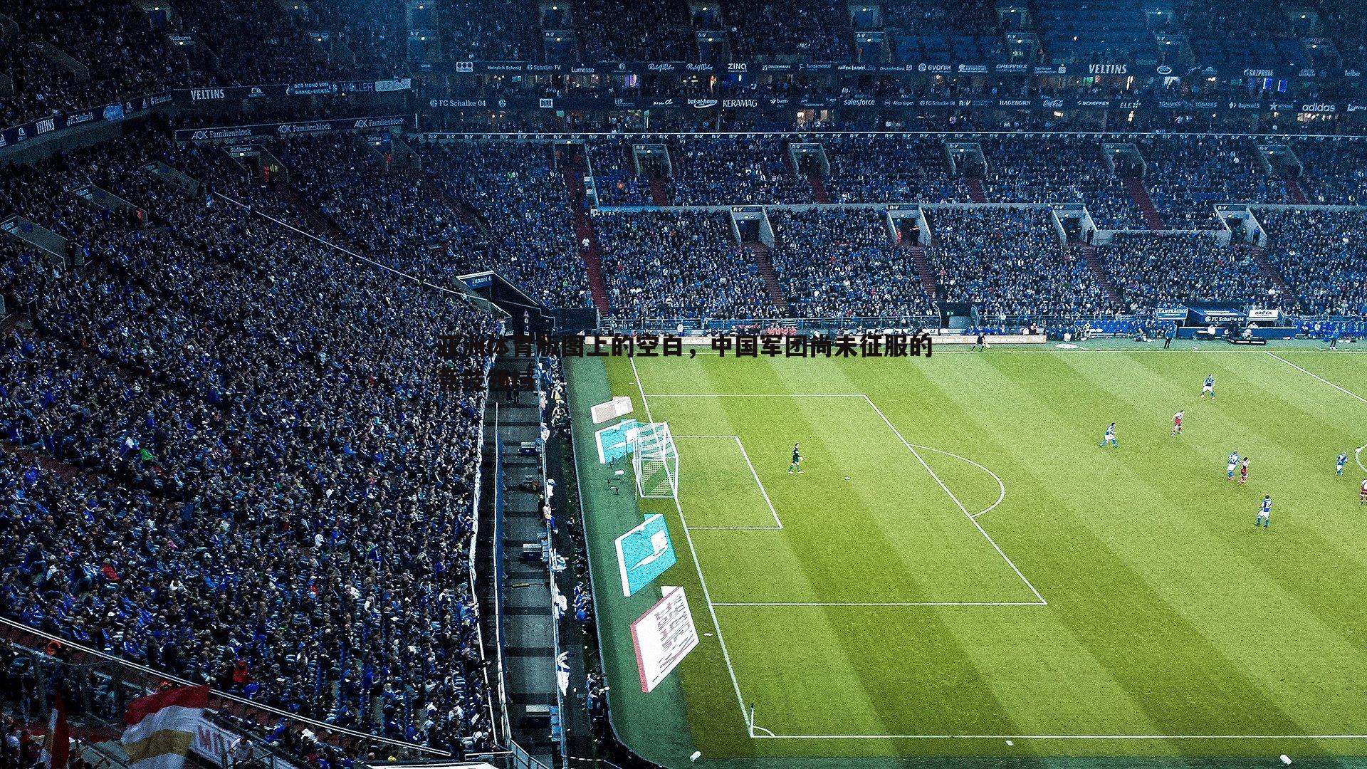 亚洲体育版图上的空白，中国军团尚未征服的竞技领域